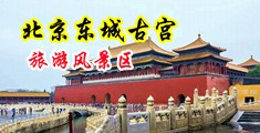 骚逼好爽操逼中国北京-东城古宫旅游风景区